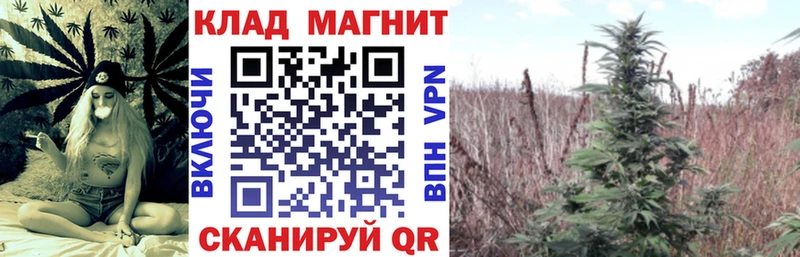 Магазин наркотиков Высоцк ГАШ COCAIN Псилоцибиновые грибы Марихуана МЕФ