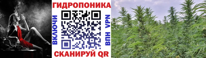 Шишки марихуана планчик  Высоцк 